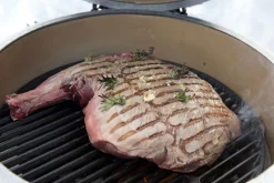 Big Green Egg XL – met intEGGrated handler