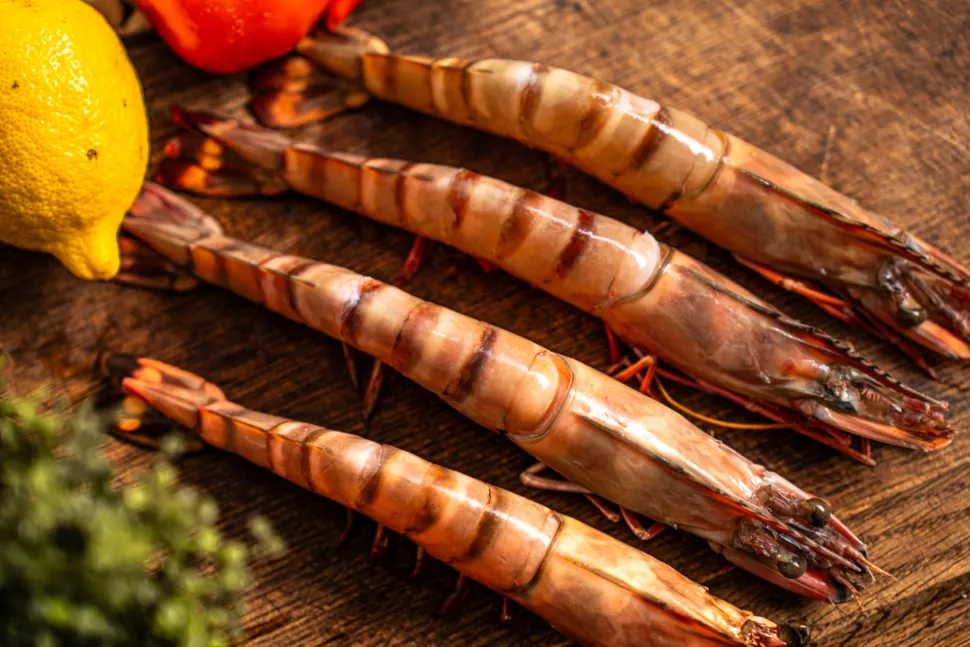 Black Tiger gamba’s ongepeld 6/8 met kop