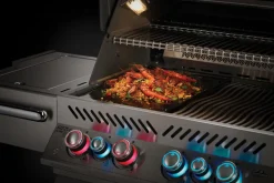 Dubbelzijdig porselein geëmailleerde gietijzeren grillplaat voor 485, 500 , 605 en 730 Napoleon