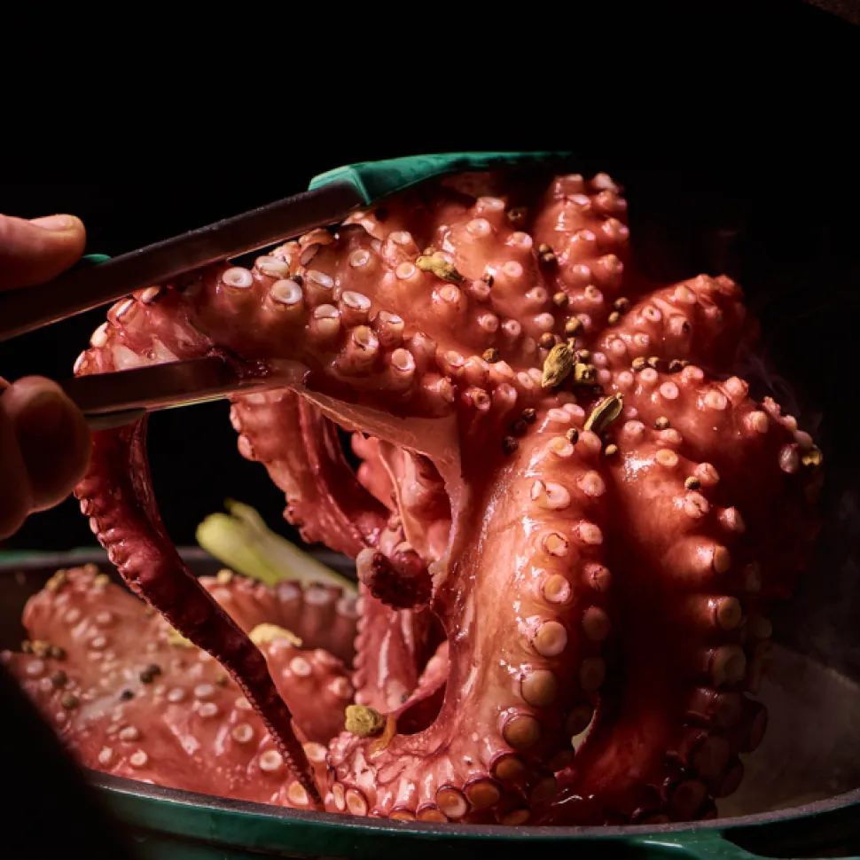 Evergreens from around Europe – Big Green Egg