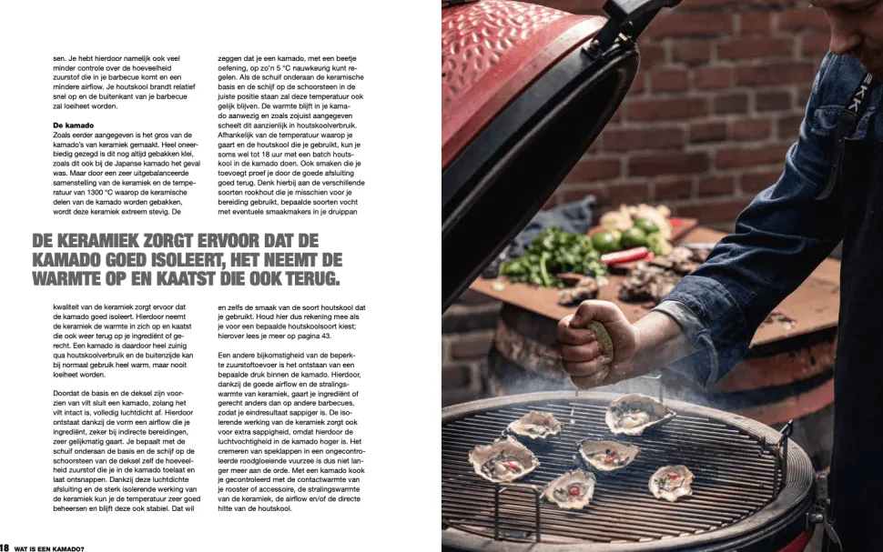 Het ultieme kamadoboek