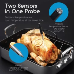 Inkbird BG-BT1W smart thermometer