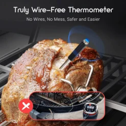 Inkbird BG-BT1W smart thermometer