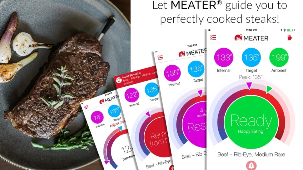 Meater plus+ (50 meter)