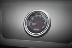 Napoleon Freestyle 365