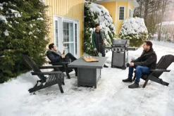 Napoleon Freestyle 365