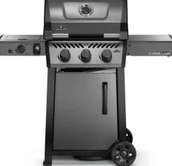 Napoleon Freestyle 365 DSIB