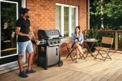 Napoleon Freestyle 365 DSIB