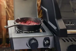 Napoleon Freestyle 365 SB