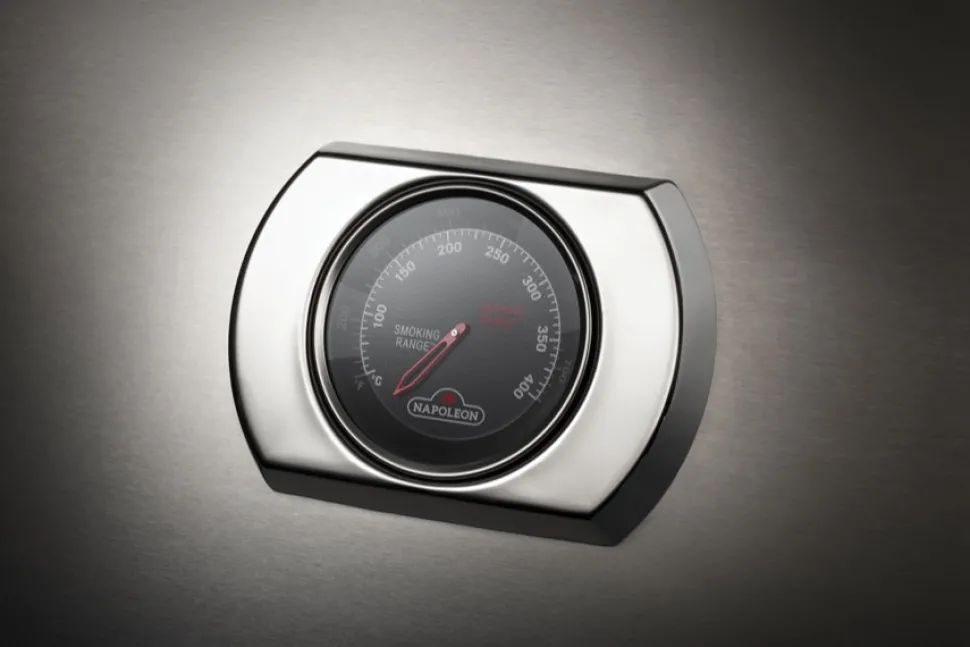 Napoleon inbouw 700-Serie 44 RB RVS