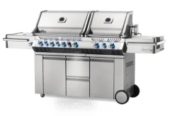 Napoleon Prestige PRO 825 RVS