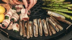 Plancha ring The Bastard